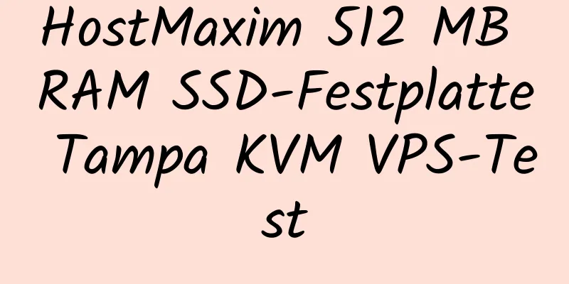 HostMaxim 512 MB RAM SSD-Festplatte Tampa KVM VPS-Test