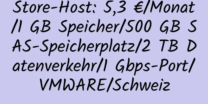 Store-Host: 5,3 €/Monat/1 GB Speicher/500 GB SAS-Speicherplatz/2 TB Datenverkehr/1 Gbps-Port/VMWARE/Schweiz