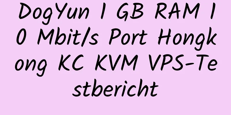 DogYun 1 GB RAM 10 Mbit/s Port Hongkong KC KVM VPS-Testbericht