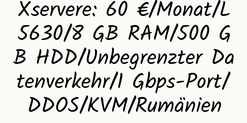 Xservere: 60 €/Monat/L5630/8 GB RAM/500 GB HDD/Unbegrenzter Datenverkehr/1 Gbps-Port/DDOS/KVM/Rumänien