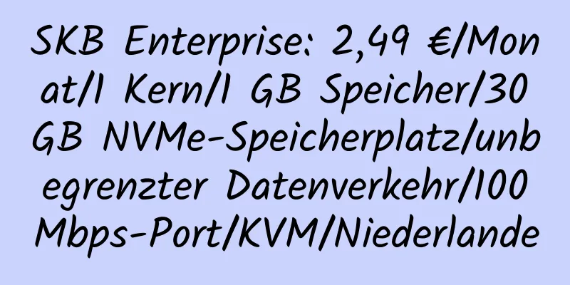 SKB Enterprise: 2,49 €/Monat/1 Kern/1 GB Speicher/30 GB NVMe-Speicherplatz/unbegrenzter Datenverkehr/100 Mbps-Port/KVM/Niederlande