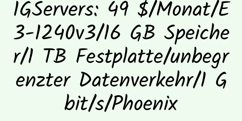 1GServers: 49 $/Monat/E3-1240v3/16 GB Speicher/1 TB Festplatte/unbegrenzter Datenverkehr/1 Gbit/s/Phoenix