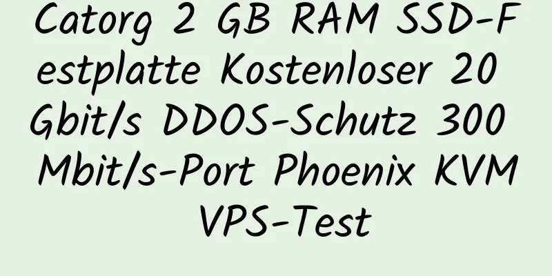 Catorg 2 GB RAM SSD-Festplatte Kostenloser 20 Gbit/s DDOS-Schutz 300 Mbit/s-Port Phoenix KVM VPS-Test