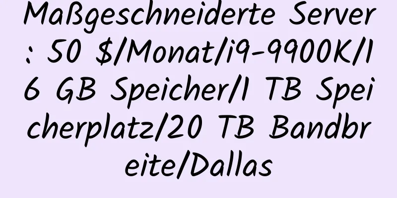 Maßgeschneiderte Server: 50 $/Monat/i9-9900K/16 GB Speicher/1 TB Speicherplatz/20 TB Bandbreite/Dallas