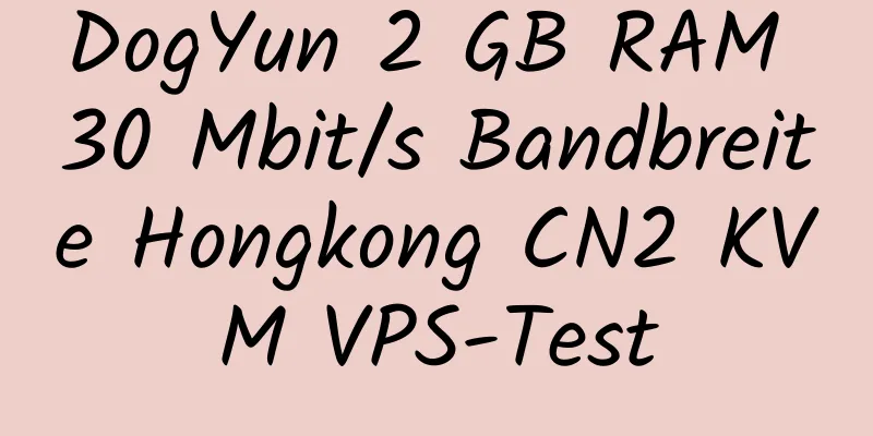 DogYun 2 GB RAM 30 Mbit/s Bandbreite Hongkong CN2 KVM VPS-Test