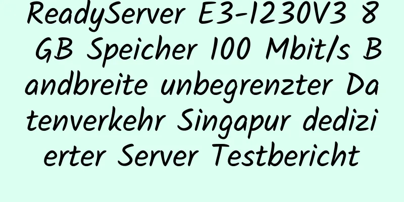 ReadyServer E3-1230V3 8 GB Speicher 100 Mbit/s Bandbreite unbegrenzter Datenverkehr Singapur dedizierter Server Testbericht