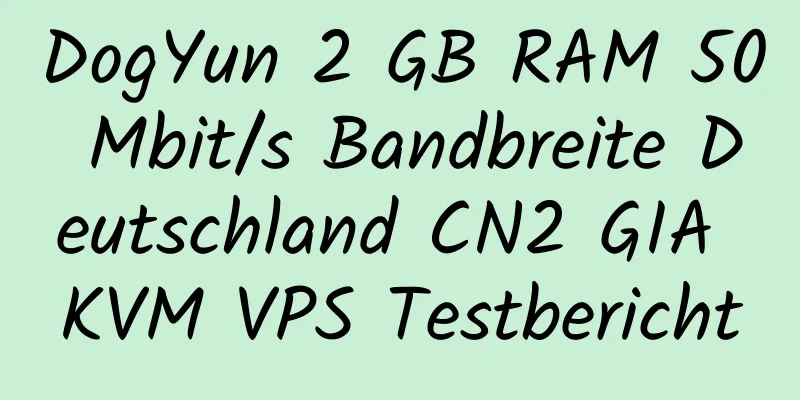 DogYun 2 GB RAM 50 Mbit/s Bandbreite Deutschland CN2 GIA KVM VPS Testbericht