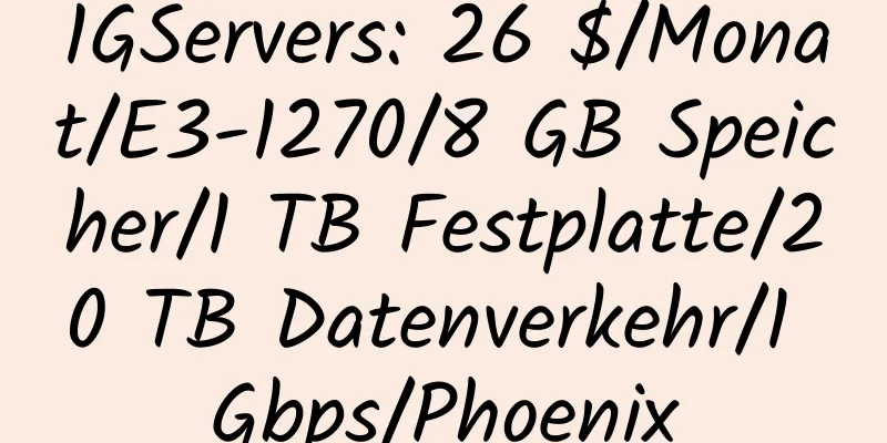 1GServers: 26 $/Monat/E3-1270/8 GB Speicher/1 TB Festplatte/20 TB Datenverkehr/1 Gbps/Phoenix