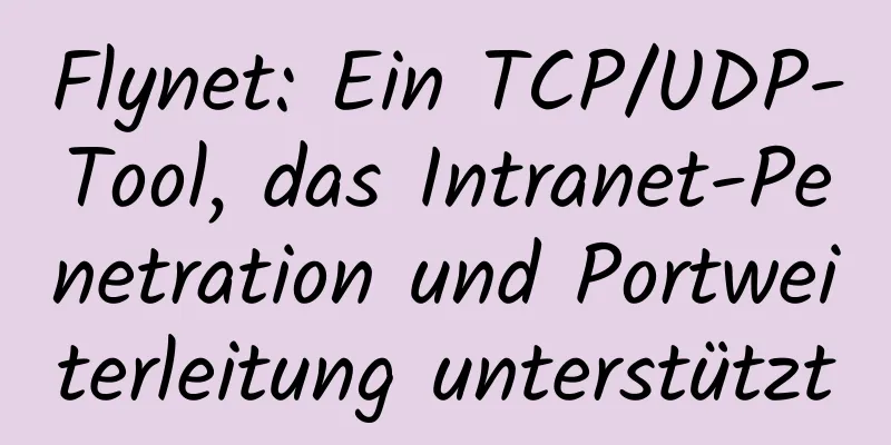 Flynet: Ein TCP/UDP-Tool, das Intranet-Penetration und Portweiterleitung unterstützt