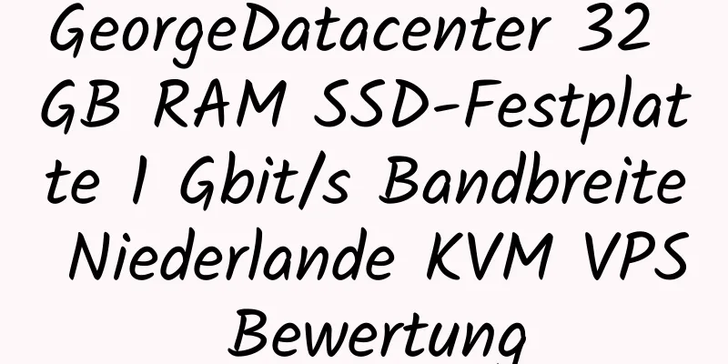 GeorgeDatacenter 32 GB RAM SSD-Festplatte 1 Gbit/s Bandbreite Niederlande KVM VPS Bewertung