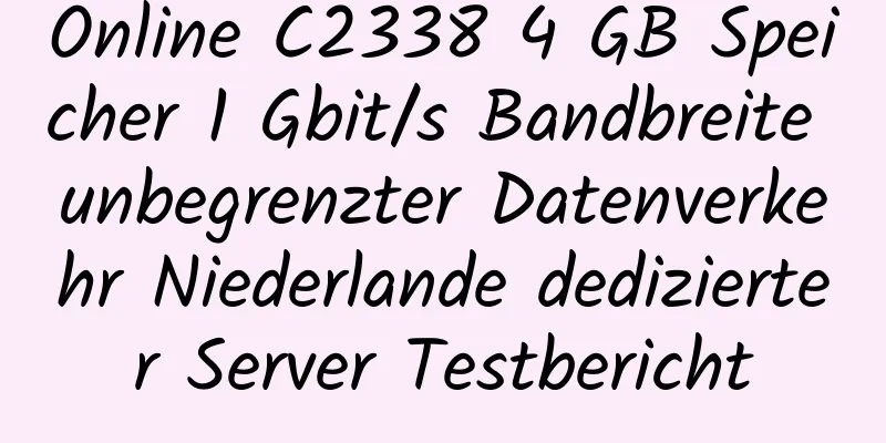 Online C2338 4 GB Speicher 1 Gbit/s Bandbreite unbegrenzter Datenverkehr Niederlande dedizierter Server Testbericht