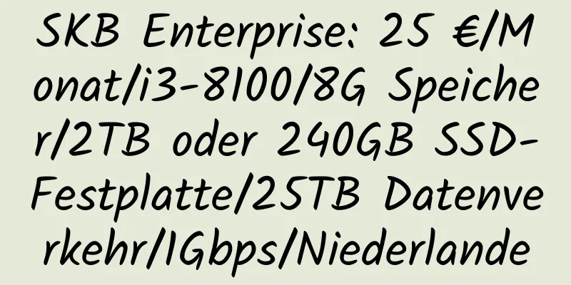 SKB Enterprise: 25 €/Monat/i3-8100/8G Speicher/2TB oder 240GB SSD-Festplatte/25TB Datenverkehr/1Gbps/Niederlande