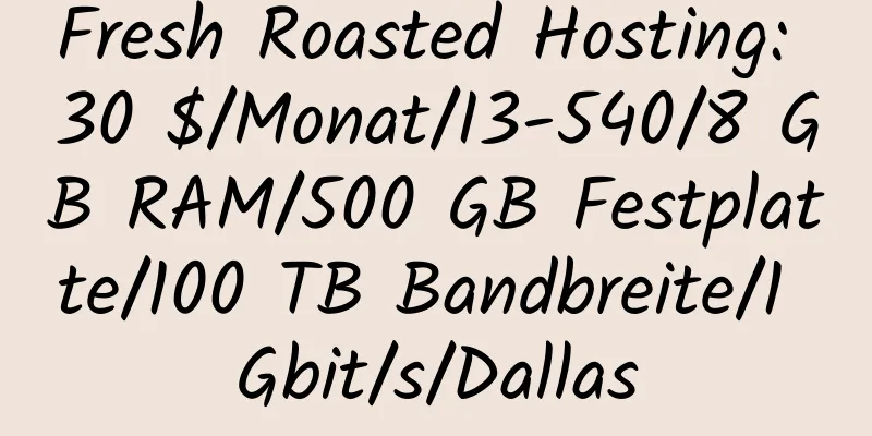 Fresh Roasted Hosting: 30 $/Monat/I3-540/8 GB RAM/500 GB Festplatte/100 TB Bandbreite/1 Gbit/s/Dallas