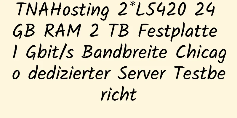 TNAHosting 2*L5420 24 GB RAM 2 TB Festplatte 1 Gbit/s Bandbreite Chicago dedizierter Server Testbericht