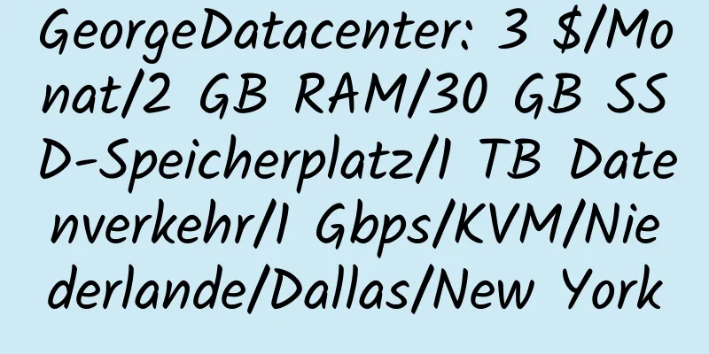 GeorgeDatacenter: 3 $/Monat/2 GB RAM/30 GB SSD-Speicherplatz/1 TB Datenverkehr/1 Gbps/KVM/Niederlande/Dallas/New York