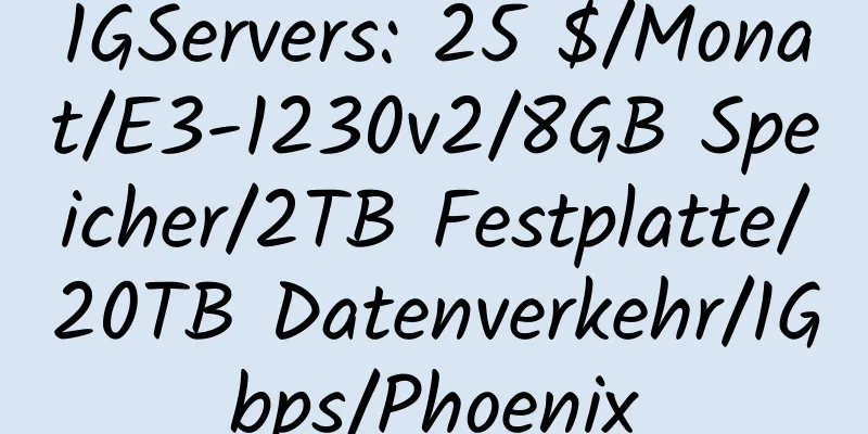 1GServers: 25 $/Monat/E3-1230v2/8GB Speicher/2TB Festplatte/20TB Datenverkehr/1Gbps/Phoenix