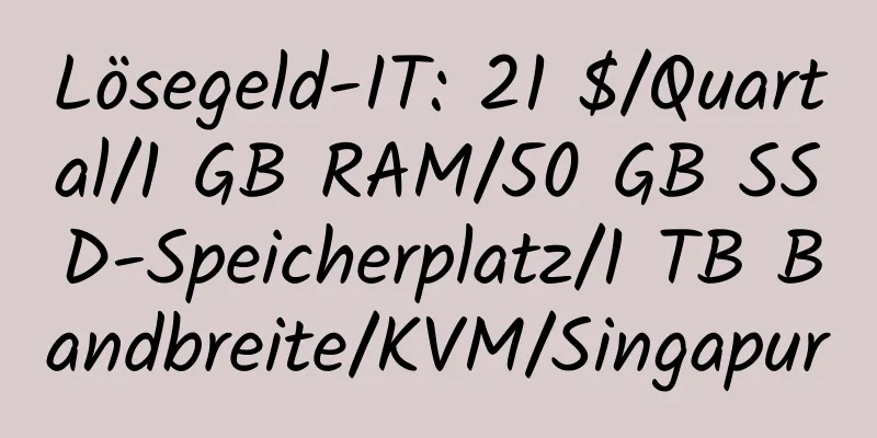 Lösegeld-IT: 21 $/Quartal/1 GB RAM/50 GB SSD-Speicherplatz/1 TB Bandbreite/KVM/Singapur