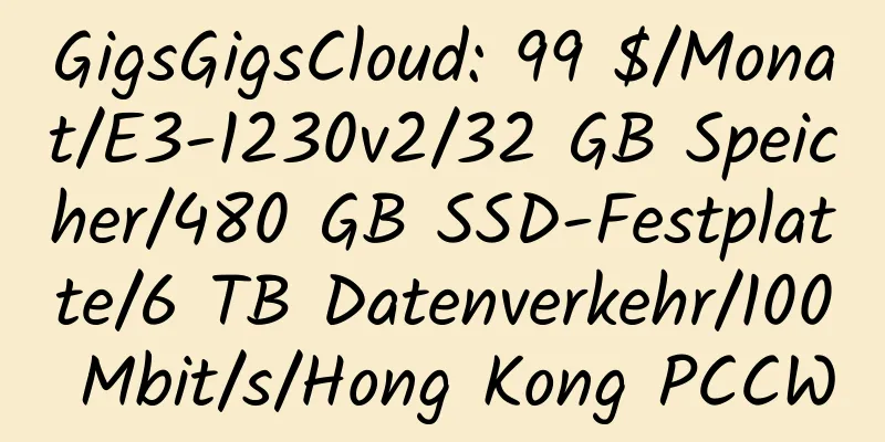 GigsGigsCloud: 99 $/Monat/E3-1230v2/32 GB Speicher/480 GB SSD-Festplatte/6 TB Datenverkehr/100 Mbit/s/Hong Kong PCCW