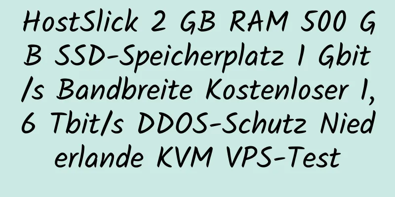 HostSlick 2 GB RAM 500 GB SSD-Speicherplatz 1 Gbit/s Bandbreite Kostenloser 1,6 Tbit/s DDOS-Schutz Niederlande KVM VPS-Test