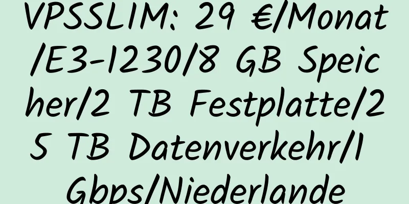 VPSSLIM: 29 €/Monat/E3-1230/8 GB Speicher/2 TB Festplatte/25 TB Datenverkehr/1 Gbps/Niederlande