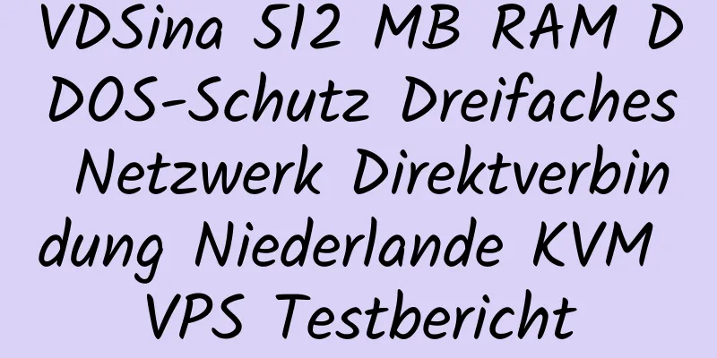 VDSina 512 MB RAM DDOS-Schutz Dreifaches Netzwerk Direktverbindung Niederlande KVM VPS Testbericht