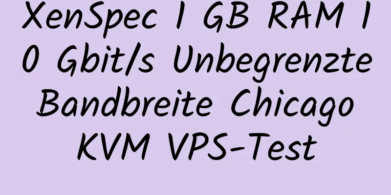 XenSpec 1 GB RAM 10 Gbit/s Unbegrenzte Bandbreite Chicago KVM VPS-Test