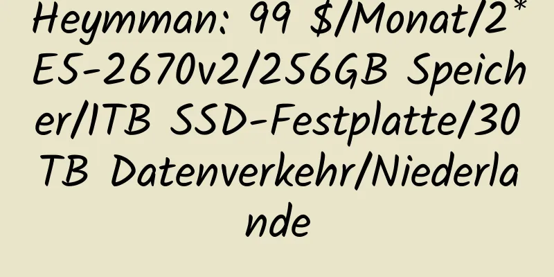 Heymman: 99 $/Monat/2*E5-2670v2/256GB Speicher/1TB SSD-Festplatte/30TB Datenverkehr/Niederlande