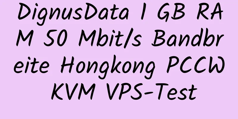 DignusData 1 GB RAM 50 Mbit/s Bandbreite Hongkong PCCW KVM VPS-Test