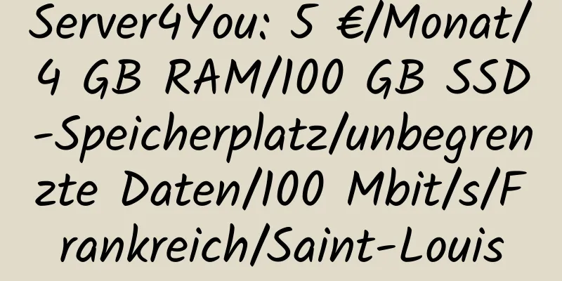 Server4You: 5 €/Monat/4 GB RAM/100 GB SSD-Speicherplatz/unbegrenzte Daten/100 Mbit/s/Frankreich/Saint-Louis