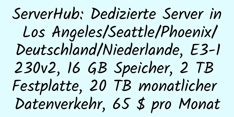 ServerHub: Dedizierte Server in Los Angeles/Seattle/Phoenix/Deutschland/Niederlande, E3-1230v2, 16 GB Speicher, 2 TB Festplatte, 20 TB monatlicher Datenverkehr, 65 $ pro Monat