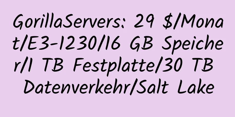 GorillaServers: 29 $/Monat/E3-1230/16 GB Speicher/1 TB Festplatte/30 TB Datenverkehr/Salt Lake