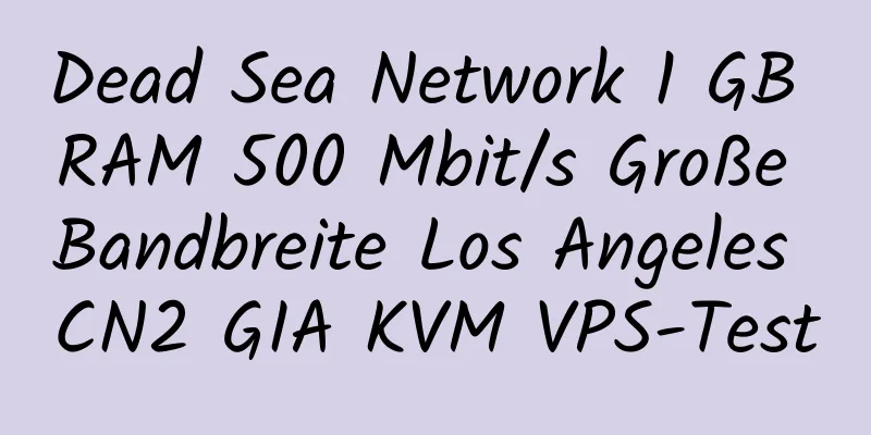 Dead Sea Network 1 GB RAM 500 Mbit/s Große Bandbreite Los Angeles CN2 GIA KVM VPS-Test