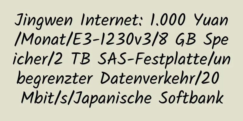 Jingwen Internet: 1.000 Yuan/Monat/E3-1230v3/8 GB Speicher/2 TB SAS-Festplatte/unbegrenzter Datenverkehr/20 Mbit/s/Japanische Softbank