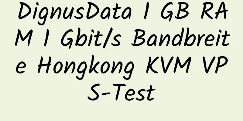 DignusData 1 GB RAM 1 Gbit/s Bandbreite Hongkong KVM VPS-Test