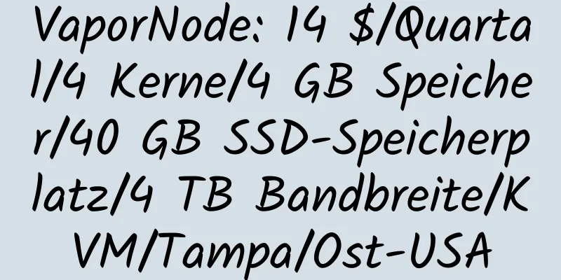 VaporNode: 14 $/Quartal/4 Kerne/4 GB Speicher/40 GB SSD-Speicherplatz/4 TB Bandbreite/KVM/Tampa/Ost-USA