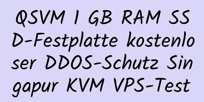 QSVM 1 GB RAM SSD-Festplatte kostenloser DDOS-Schutz Singapur KVM VPS-Test