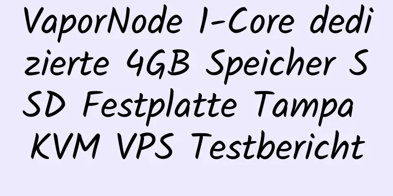 VaporNode 1-Core dedizierte 4GB Speicher SSD Festplatte Tampa KVM VPS Testbericht