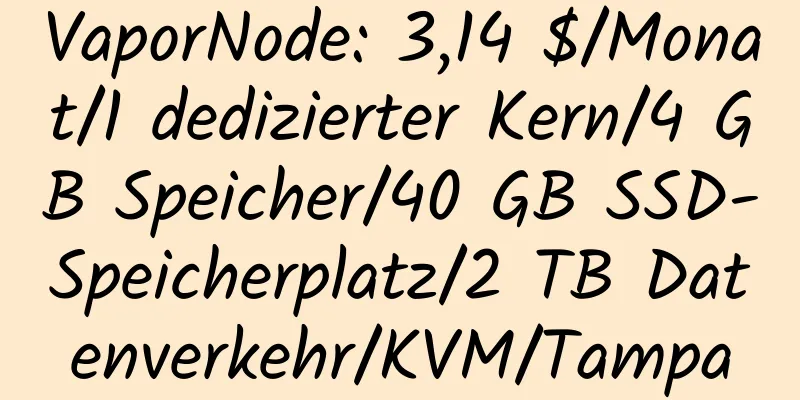 VaporNode: 3,14 $/Monat/1 dedizierter Kern/4 GB Speicher/40 GB SSD-Speicherplatz/2 TB Datenverkehr/KVM/Tampa