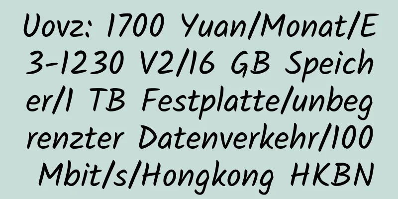 Uovz: 1700 Yuan/Monat/E3-1230 V2/16 GB Speicher/1 TB Festplatte/unbegrenzter Datenverkehr/100 Mbit/s/Hongkong HKBN