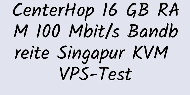 CenterHop 16 GB RAM 100 Mbit/s Bandbreite Singapur KVM VPS-Test