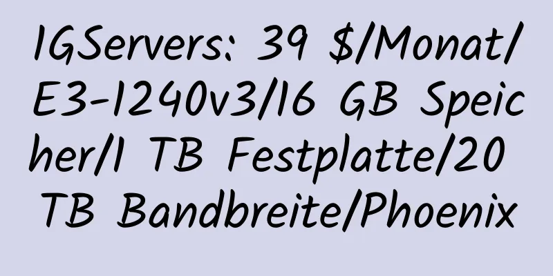 1GServers: 39 $/Monat/E3-1240v3/16 GB Speicher/1 TB Festplatte/20 TB Bandbreite/Phoenix