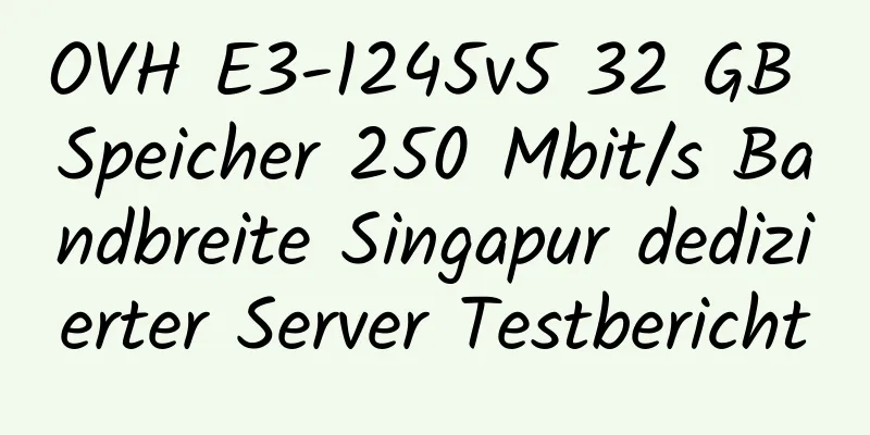 OVH E3-1245v5 32 GB Speicher 250 Mbit/s Bandbreite Singapur dedizierter Server Testbericht