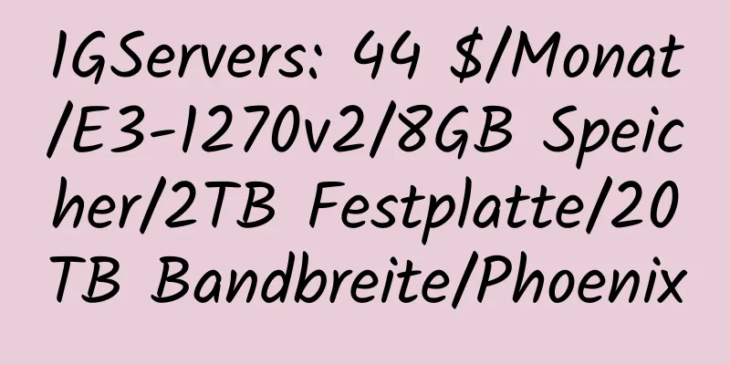 1GServers: 44 $/Monat/E3-1270v2/8GB Speicher/2TB Festplatte/20TB Bandbreite/Phoenix