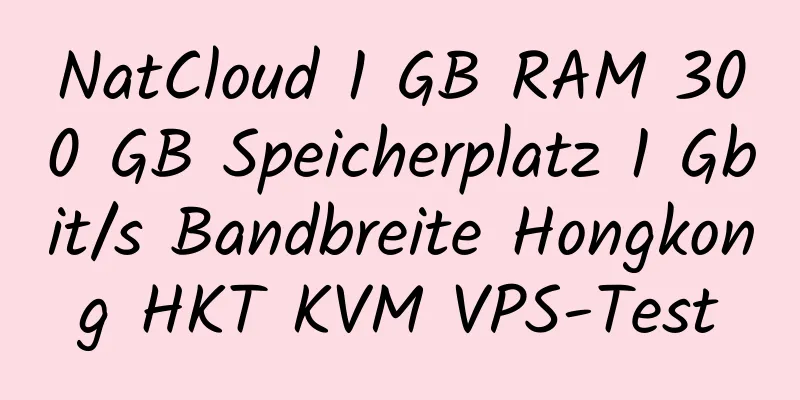 NatCloud 1 GB RAM 300 GB Speicherplatz 1 Gbit/s Bandbreite Hongkong HKT KVM VPS-Test