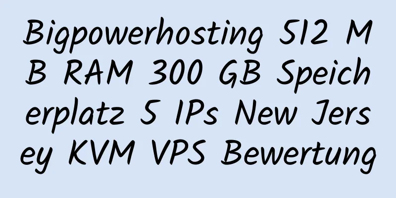 Bigpowerhosting 512 MB RAM 300 GB Speicherplatz 5 IPs New Jersey KVM VPS Bewertung