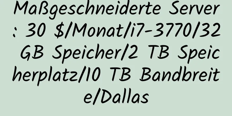 Maßgeschneiderte Server: 30 $/Monat/i7-3770/32 GB Speicher/2 TB Speicherplatz/10 TB Bandbreite/Dallas