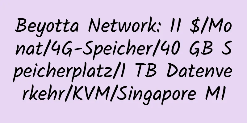 Beyotta Network: 11 $/Monat/4G-Speicher/40 GB Speicherplatz/1 TB Datenverkehr/KVM/Singapore M1