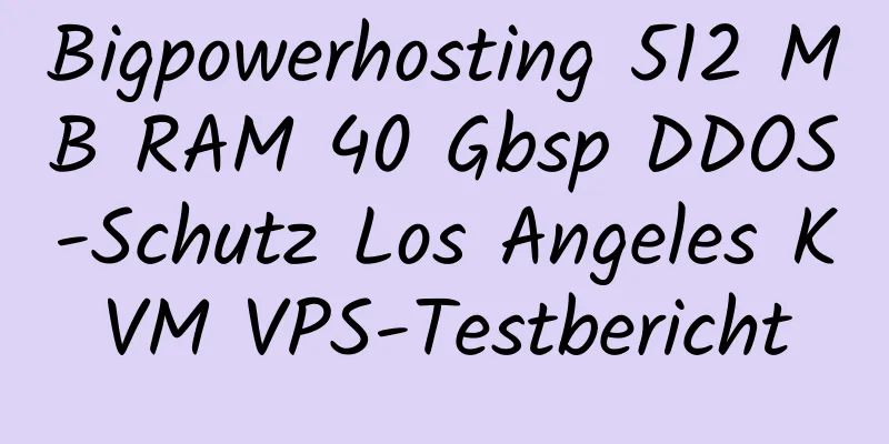 Bigpowerhosting 512 MB RAM 40 Gbsp DDOS-Schutz Los Angeles KVM VPS-Testbericht