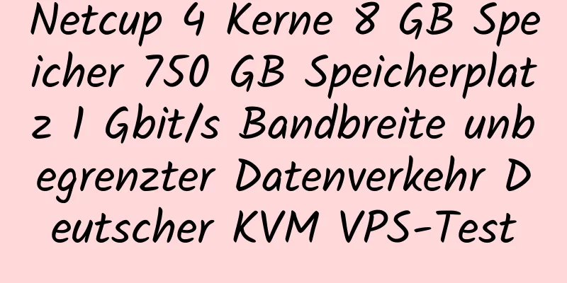 Netcup 4 Kerne 8 GB Speicher 750 GB Speicherplatz 1 Gbit/s Bandbreite unbegrenzter Datenverkehr Deutscher KVM VPS-Test