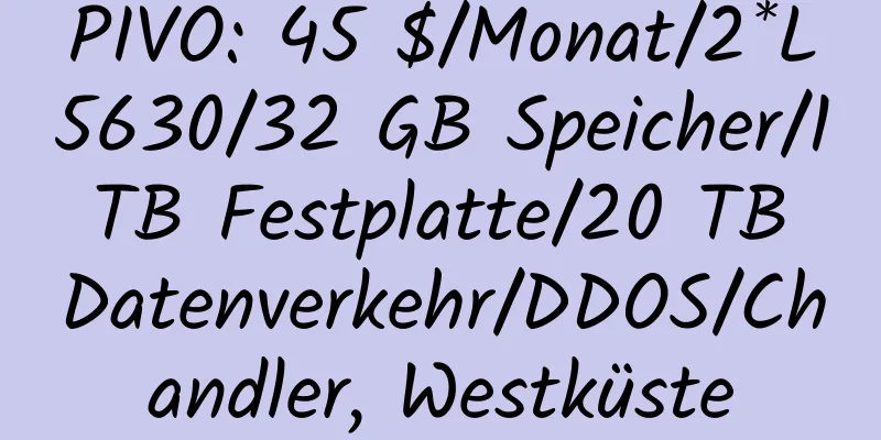 PIVO: 45 $/Monat/2*L5630/32 GB Speicher/1 TB Festplatte/20 TB Datenverkehr/DDOS/Chandler, Westküste